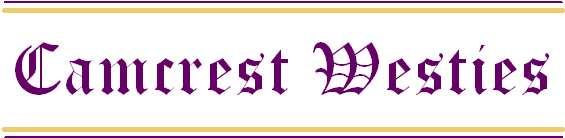 Camcrest Banner