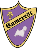 Camcrest Logo