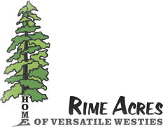 Rime Logo
